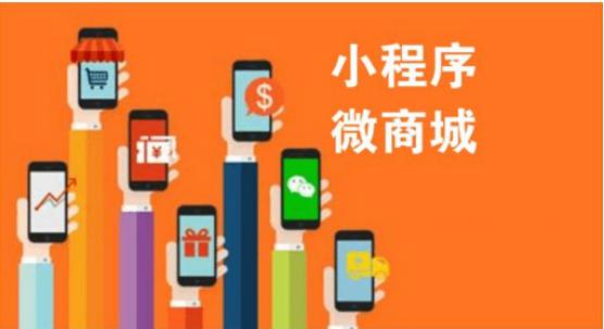 云南开发的小程序网上商城对比实体店的优势体现在哪些方面 云南开发的小程序网上商城对比实体店的优势体现在哪些方面